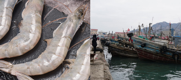 建造一個(gè)海鮮冷庫(kù)多少錢？